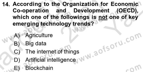 Introduction to International Relations Dersi 2021 - 2022 Yılı Yaz Okulu Sınav Soruları 14. Soru