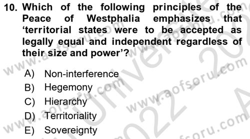 Introduction to International Relations Dersi Ara Sınavı Deneme Sınav Soruları 10. Soru