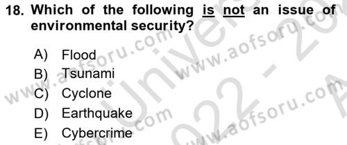 Introduction to International Relations Dersi Ara Sınavı Deneme Sınav Soruları 18. Soru