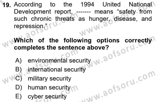 Introduction to International Relations Dersi Ara Sınavı Deneme Sınav Soruları 19. Soru