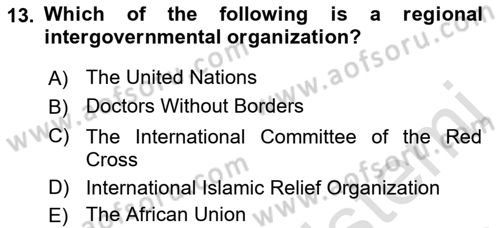 Introduction to International Relations Dersi 2022 - 2023 Yılı (Final) Dönem Sonu Sınav Soruları 13. Soru