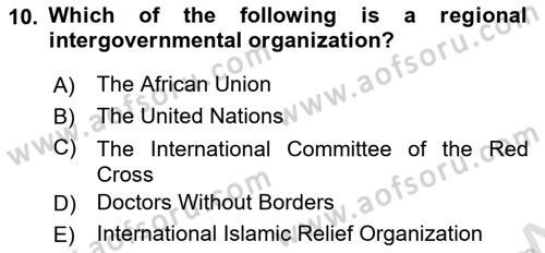 Introduction to International Relations Dersi 2022 - 2023 Yılı Yaz Okulu Sınav Soruları 10. Soru