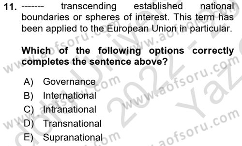 Introduction to International Relations Dersi 2022 - 2023 Yılı Yaz Okulu Sınav Soruları 11. Soru