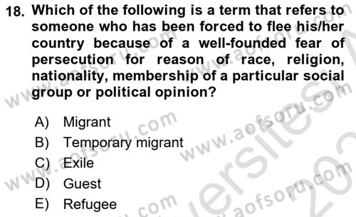 Introduction to International Relations Dersi 2022 - 2023 Yılı Yaz Okulu Sınav Soruları 18. Soru