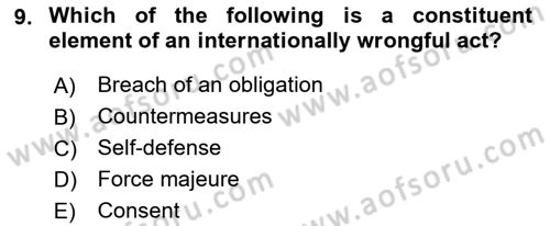 Introduction to International Relations Dersi 2022 - 2023 Yılı Yaz Okulu Sınav Soruları 9. Soru