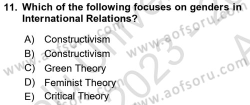 Introduction to International Relations Dersi Ara Sınavı Deneme Sınav Soruları 11. Soru