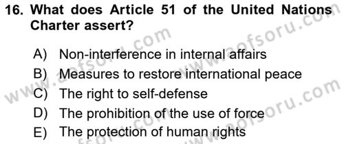 Introduction to International Relations Dersi Ara Sınavı Deneme Sınav Soruları 16. Soru