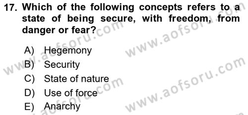 Introduction to International Relations Dersi Ara Sınavı Deneme Sınav Soruları 17. Soru