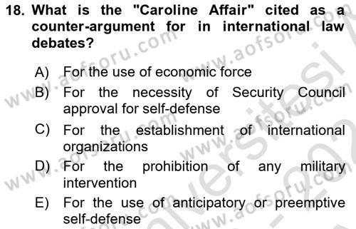Introduction to International Relations Dersi Ara Sınavı Deneme Sınav Soruları 18. Soru