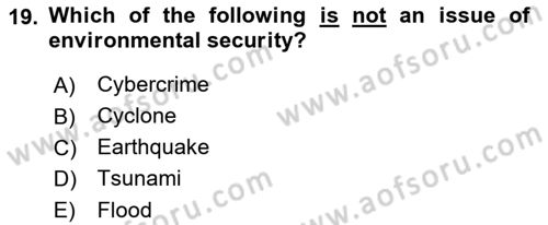 Introduction to International Relations Dersi 2023 - 2024 Yılı (Vize) Ara Sınav Soruları 19. Soru