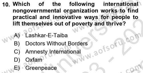 Introduction to International Relations Dersi 2023 - 2024 Yılı (Final) Dönem Sonu Sınav Soruları 10. Soru