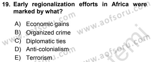 Introduction to International Relations Dersi 2023 - 2024 Yılı (Final) Dönem Sonu Sınav Soruları 19. Soru