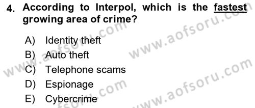 Introduction to International Relations Dersi 2023 - 2024 Yılı (Final) Dönem Sonu Sınav Soruları 4. Soru