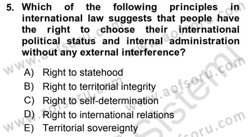 Introduction to International Relations Dersi 2023 - 2024 Yılı (Final) Dönem Sonu Sınav Soruları 5. Soru