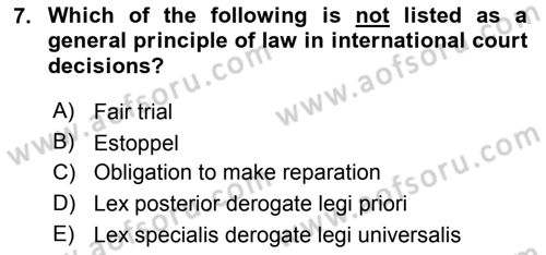 Introduction to International Relations Dersi 2023 - 2024 Yılı (Final) Dönem Sonu Sınav Soruları 7. Soru