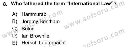 Introduction to International Relations Dersi 2023 - 2024 Yılı (Final) Dönem Sonu Sınav Soruları 8. Soru