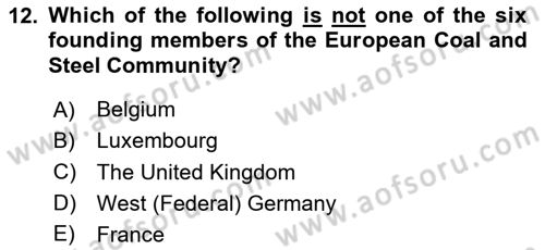 Introduction to International Relations Dersi 2023 - 2024 Yılı Yaz Okulu Sınav Soruları 12. Soru