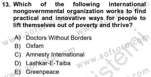 Introduction to International Relations Dersi 2023 - 2024 Yılı Yaz Okulu Sınav Soruları 13. Soru