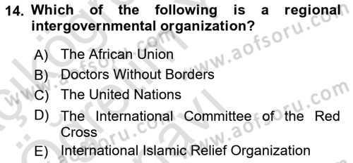 Introduction to International Relations Dersi 2023 - 2024 Yılı Yaz Okulu Sınav Soruları 14. Soru