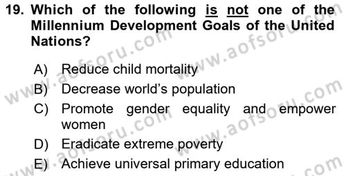 Introduction to International Relations Dersi 2023 - 2024 Yılı Yaz Okulu Sınav Soruları 19. Soru