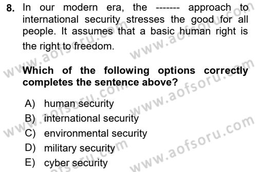 Introduction to International Relations Dersi 2023 - 2024 Yılı Yaz Okulu Sınav Soruları 8. Soru