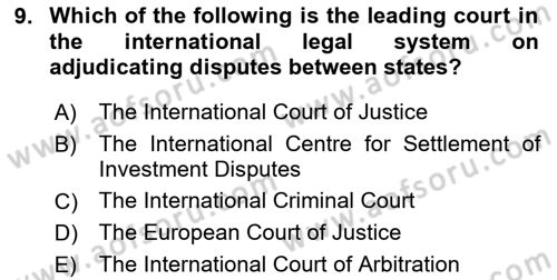 Introduction to International Relations Dersi 2023 - 2024 Yılı Yaz Okulu Sınav Soruları 9. Soru