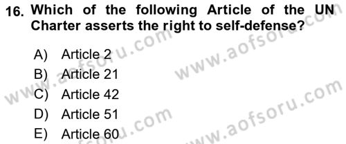 Introduction to International Relations Dersi Ara Sınavı Deneme Sınav Soruları 16. Soru