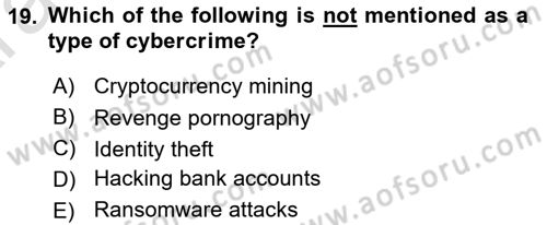 Introduction to International Relations Dersi Ara Sınavı Deneme Sınav Soruları 19. Soru