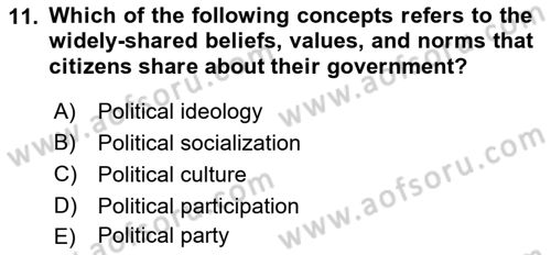 Political Science Dersi 2018 - 2019 Yılı (Final) Dönem Sonu Sınav Soruları 11. Soru