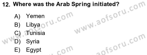 Political Science Dersi 2018 - 2019 Yılı (Final) Dönem Sonu Sınav Soruları 12. Soru