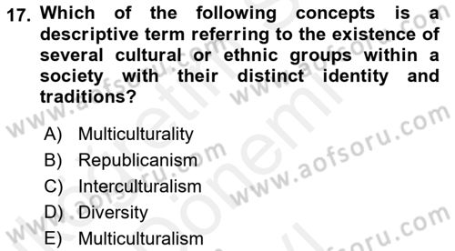 Political Science Dersi 2018 - 2019 Yılı (Final) Dönem Sonu Sınav Soruları 17. Soru