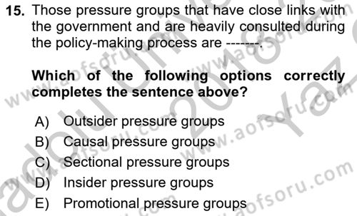 Political Science Dersi 2018 - 2019 Yılı Yaz Okulu Sınav Soruları 15. Soru
