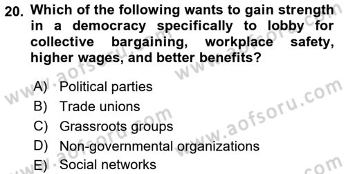 Political Science Dersi 2018 - 2019 Yılı Yaz Okulu Sınav Soruları 20. Soru