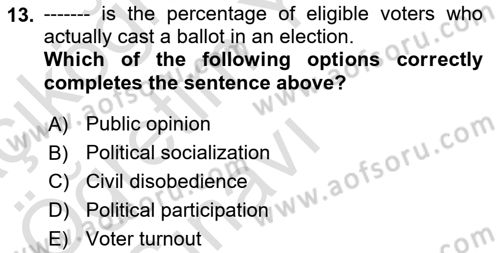Political Science Dersi 2020 - 2021 Yılı Yaz Okulu Sınav Soruları 13. Soru