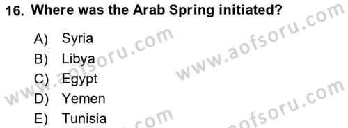 Political Science Dersi 2020 - 2021 Yılı Yaz Okulu Sınav Soruları 16. Soru