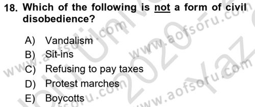 Political Science Dersi 2020 - 2021 Yılı Yaz Okulu Sınav Soruları 18. Soru