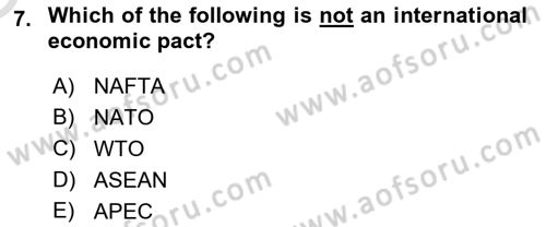 Political Science Dersi 2020 - 2021 Yılı Yaz Okulu Sınav Soruları 7. Soru