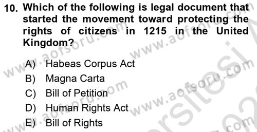 Political Science Dersi 2021 - 2022 Yılı (Vize) Ara Sınav Soruları 10. Soru