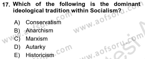 Political Science Dersi 2021 - 2022 Yılı (Vize) Ara Sınav Soruları 17. Soru