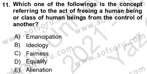 Political Science Dersi 2021 - 2022 Yılı Yaz Okulu Sınav Soruları 11. Soru