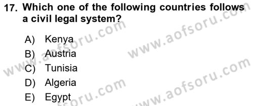 Political Science Dersi 2021 - 2022 Yılı Yaz Okulu Sınav Soruları 17. Soru