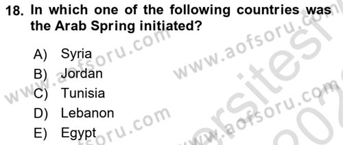 Political Science Dersi 2021 - 2022 Yılı Yaz Okulu Sınav Soruları 18. Soru