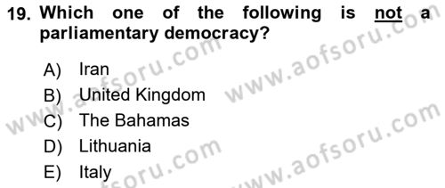 Political Science Dersi 2021 - 2022 Yılı Yaz Okulu Sınav Soruları 19. Soru