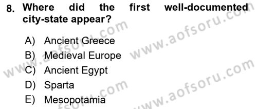 Political Science Dersi 2021 - 2022 Yılı Yaz Okulu Sınav Soruları 8. Soru