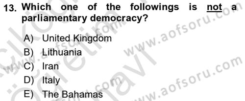 Political Science Dersi 2022 - 2023 Yılı Yaz Okulu Sınav Soruları 13. Soru
