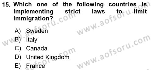 Political Science Dersi 2022 - 2023 Yılı Yaz Okulu Sınav Soruları 15. Soru