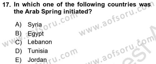 Political Science Dersi 2022 - 2023 Yılı Yaz Okulu Sınav Soruları 17. Soru