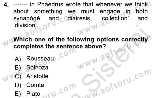 Political Science Dersi 2022 - 2023 Yılı Yaz Okulu Sınav Soruları 4. Soru