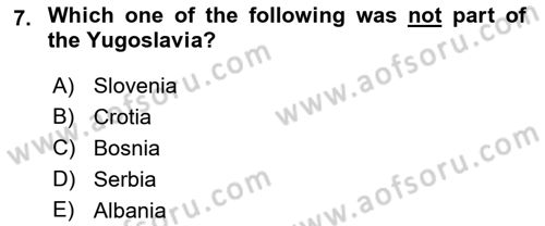 Political Science Dersi 2022 - 2023 Yılı Yaz Okulu Sınav Soruları 7. Soru