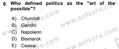 Political Science Dersi 2022 - 2023 Yılı Yaz Okulu Sınav Soruları 9. Soru
